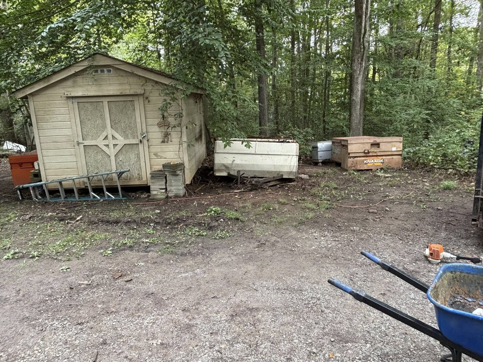 Space cleared after yard and shed junk removal by Coyles on Call