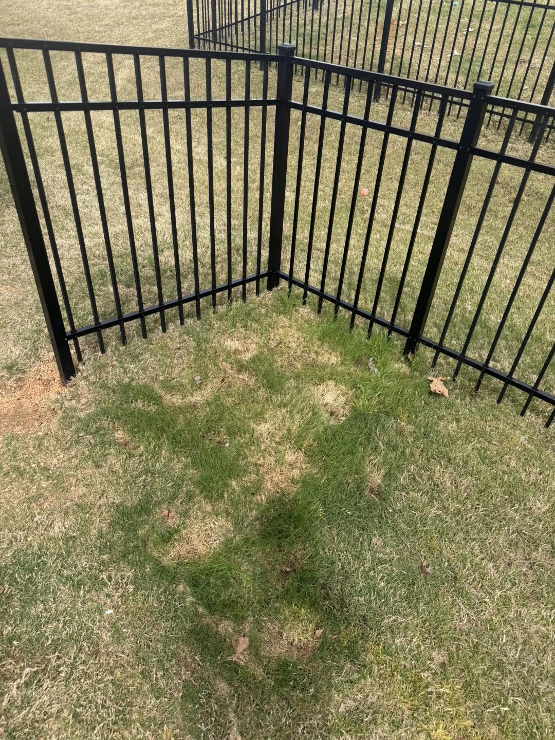 Space cleared after backyard junk removal by Coyles on Call