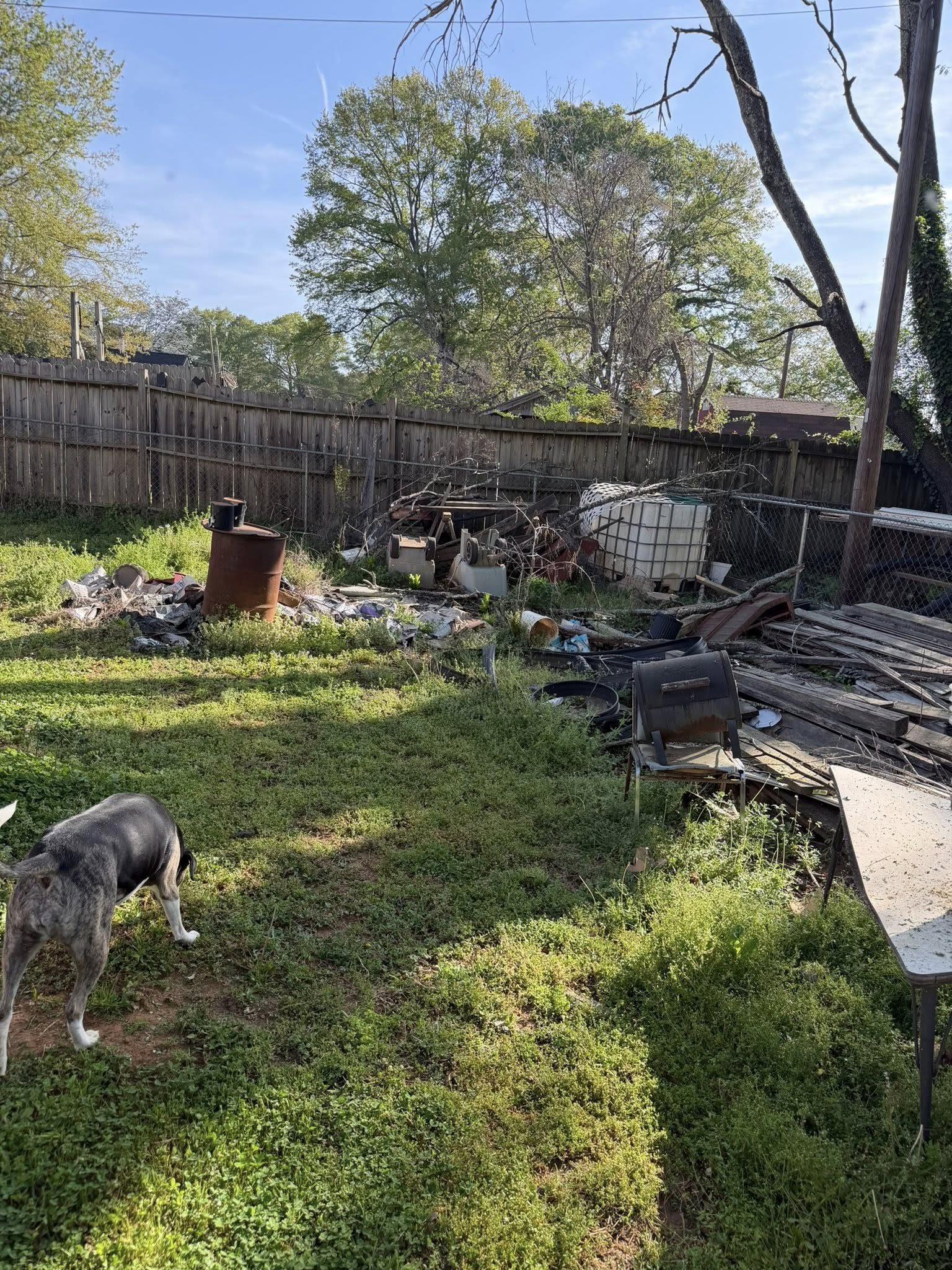 Yard Debris Cleanout before junk removal by Coyles on Call