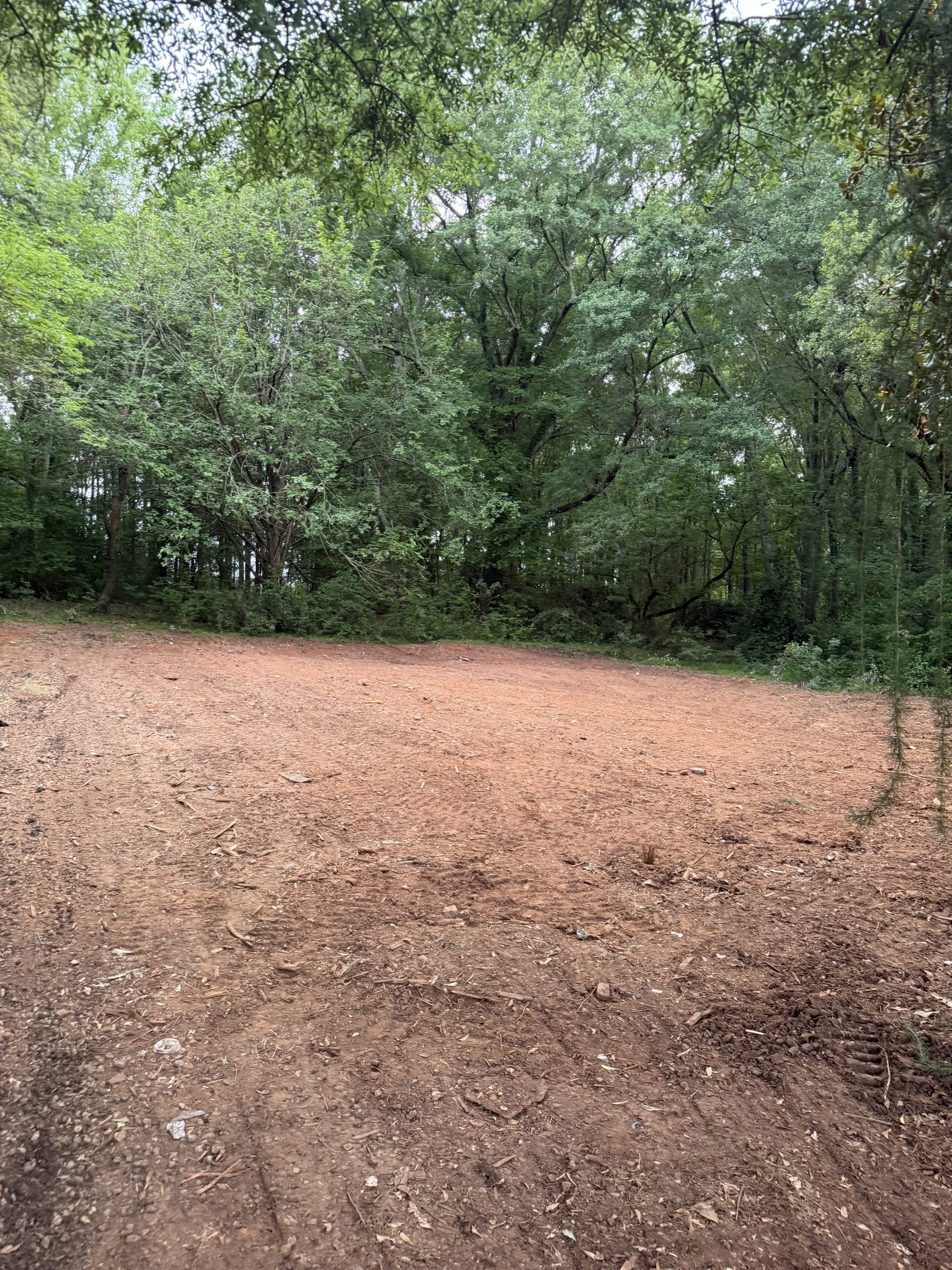 Property cleared after overgrown house demolition by Coyles on Call