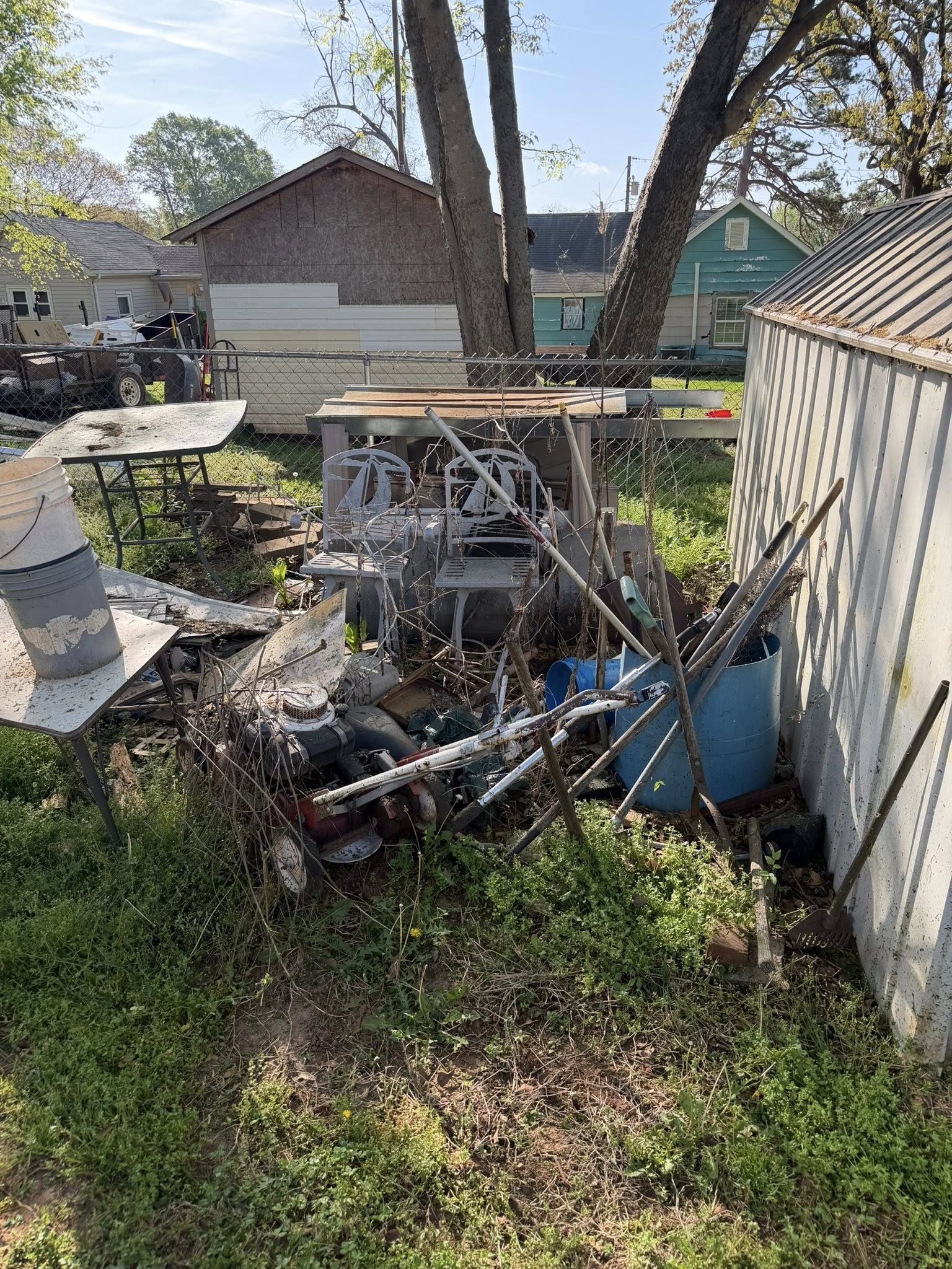 Overgrown yard with metal and debris pile