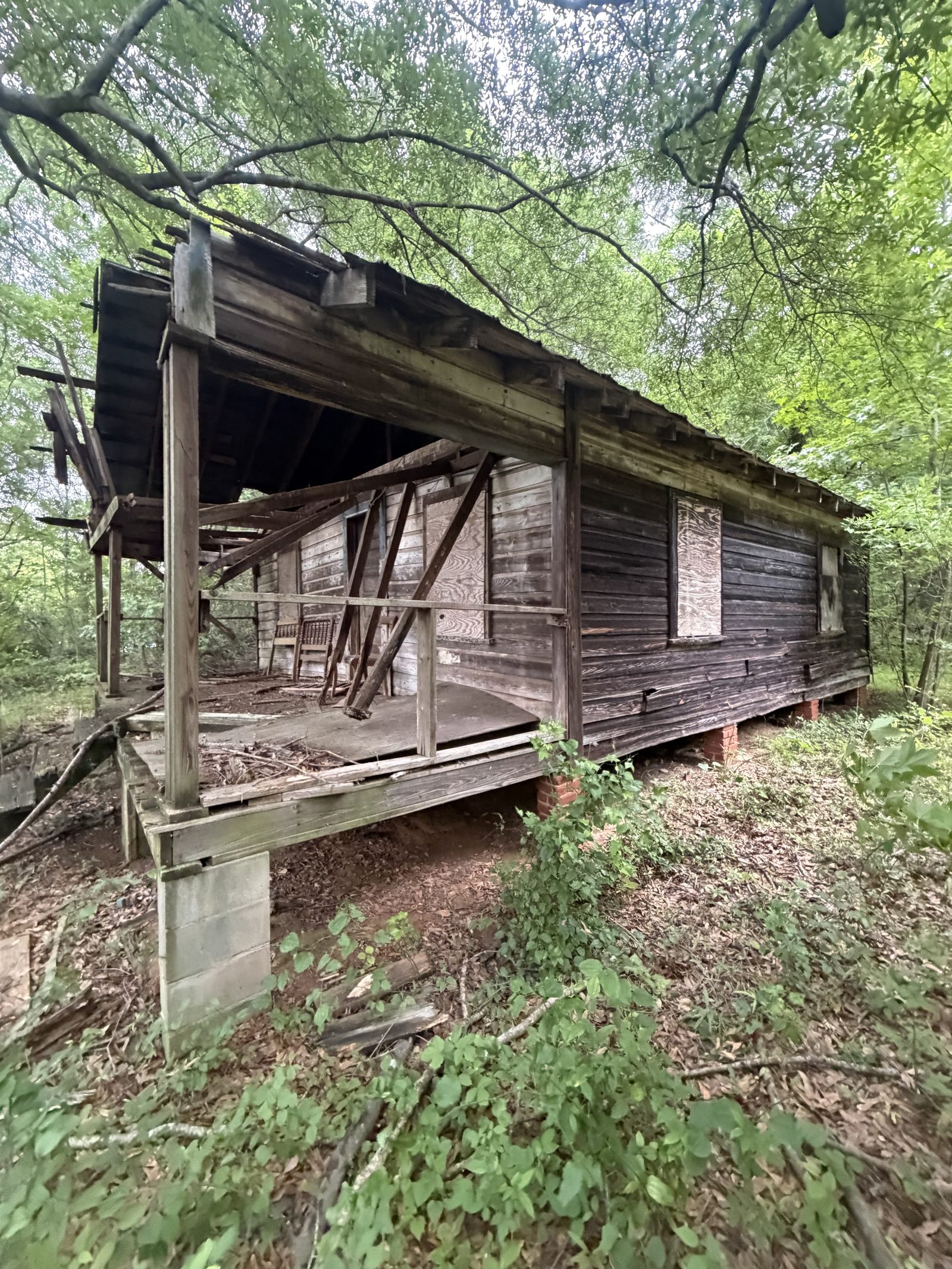 Wooded Cabin Demolition site before work by Coyles on Call