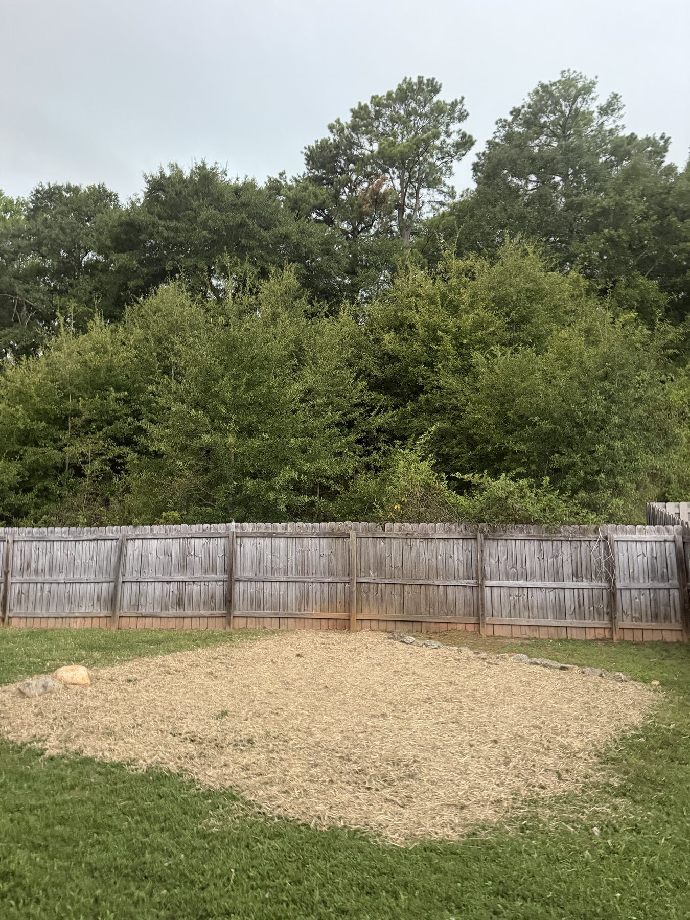 Property cleared after backyard building demolition by Coyles on Call